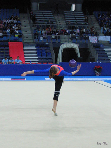 National Championship for individuals and groups, Pesaro 2006 2